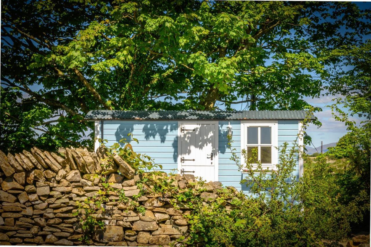 הוילה Westport Glamping At Doon Angus Farm מראה חיצוני תמונה