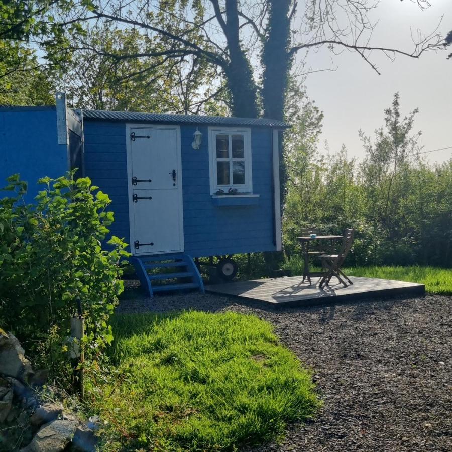 הוילה Westport Glamping At Doon Angus Farm מראה חיצוני תמונה