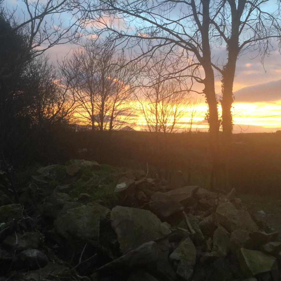 הוילה Westport Glamping At Doon Angus Farm מראה חיצוני תמונה